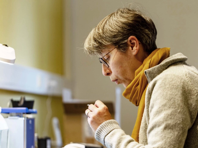 Daniela Ohm bei der Wartung eines Hörgeräts